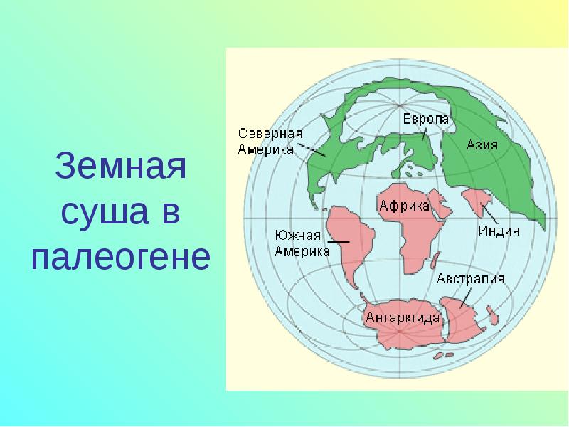 Земной суши. Неоген материки. Материки неогенового периода. Расположение материков в палеогеновый период. Палеогеновый период карта.