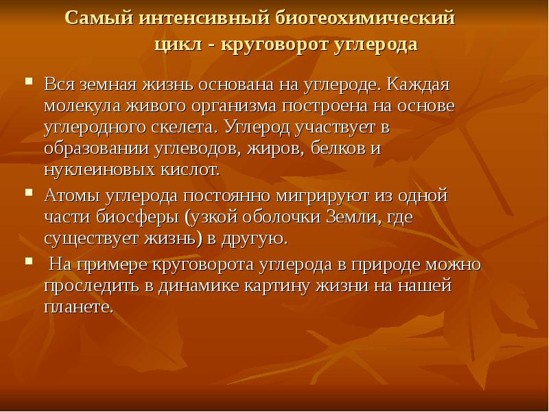 Самый интенсивный биогеохимический       цикл -