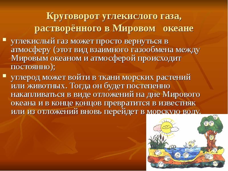 Круговорот углекислого газа презентация