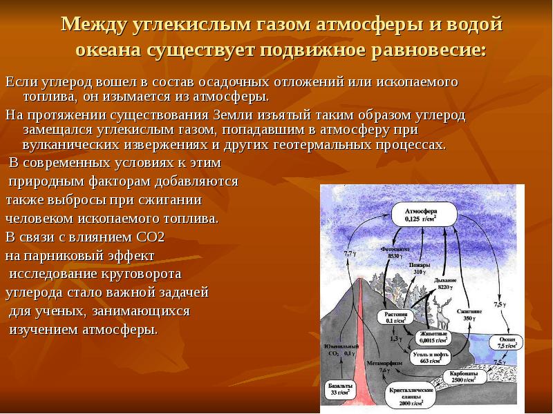 Между углекислым газом атмосферы и водой океана существует подвижное равновесие: Если