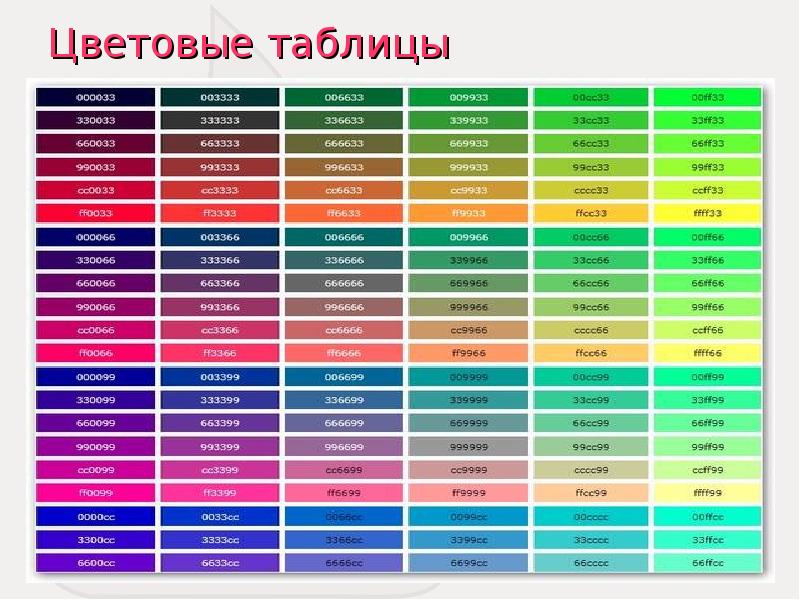 Магазин Цветов Таблица