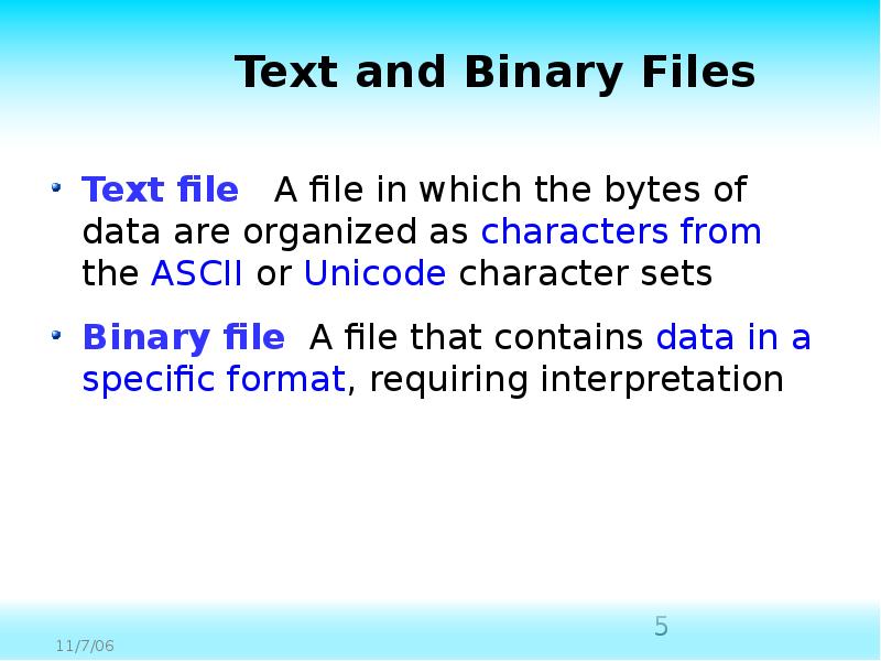 Binary file. Terms текст