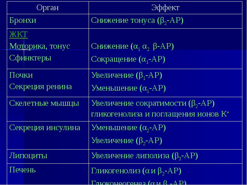 орган инструмент старый. современный орган. радиальная мышца радужки адренорецепторы. орган тверская филармония. м холиномиметики их действие на бронхи.