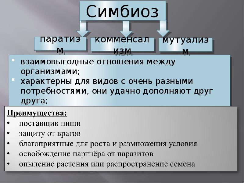 Симбиоз 1. Формы симбиоза. Симбиоз инвестиции. Обязательный симбиоз. Что такое симбиоз кратко.