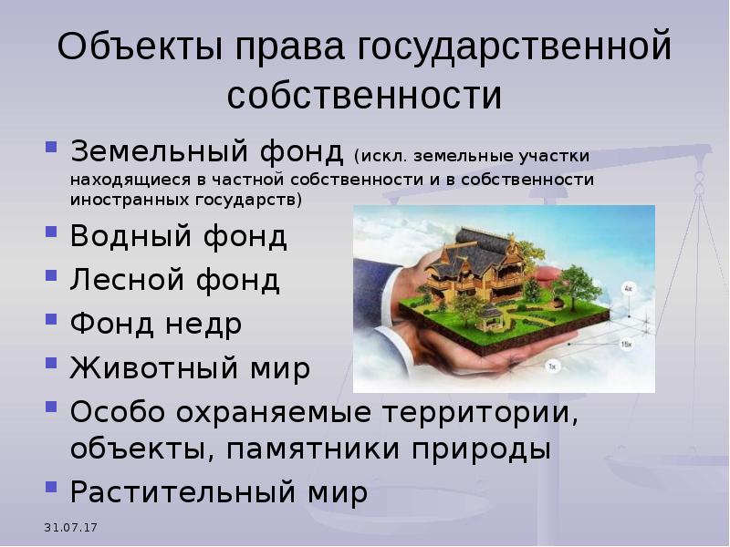 Право государственной собственности на природные объекты