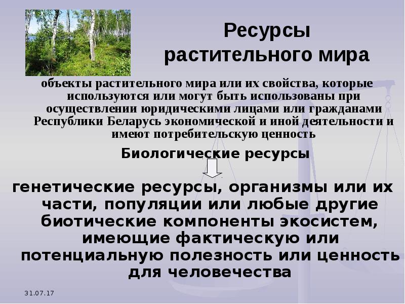 Запас растительной массы в степи