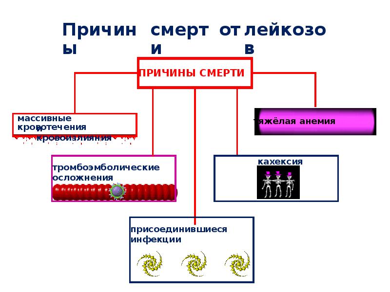 Лейкоз последствия. Острый лейкоз осложнения и исход. Осложнения острого лейкоза. Лейкоз что это такое у взрослых осложнения.