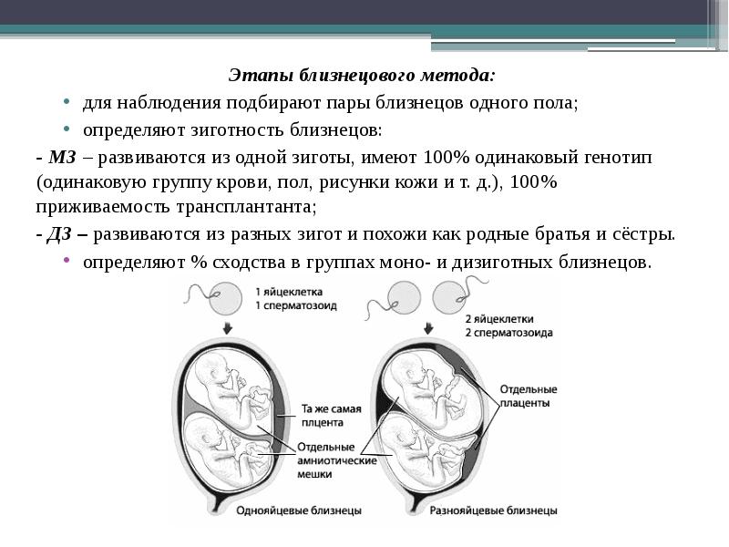 Близнецовый метод генетики презентация