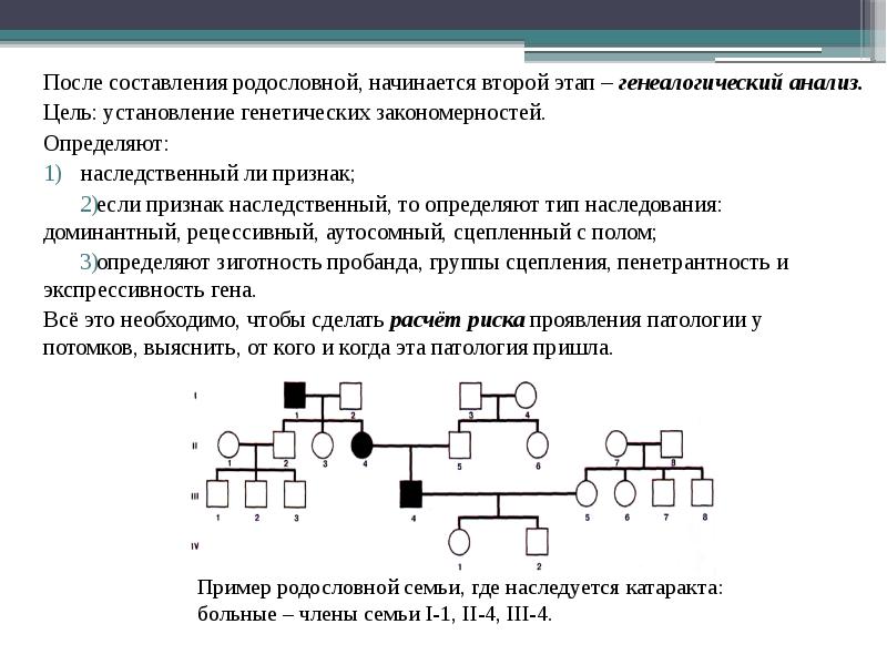 План составления родословной генетика