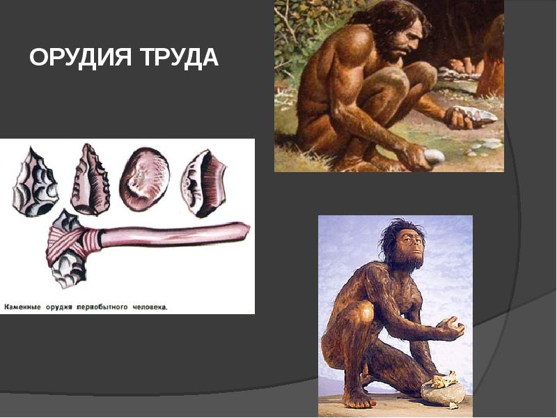 Совместная трудовая деятельность предков современного человека способствовала