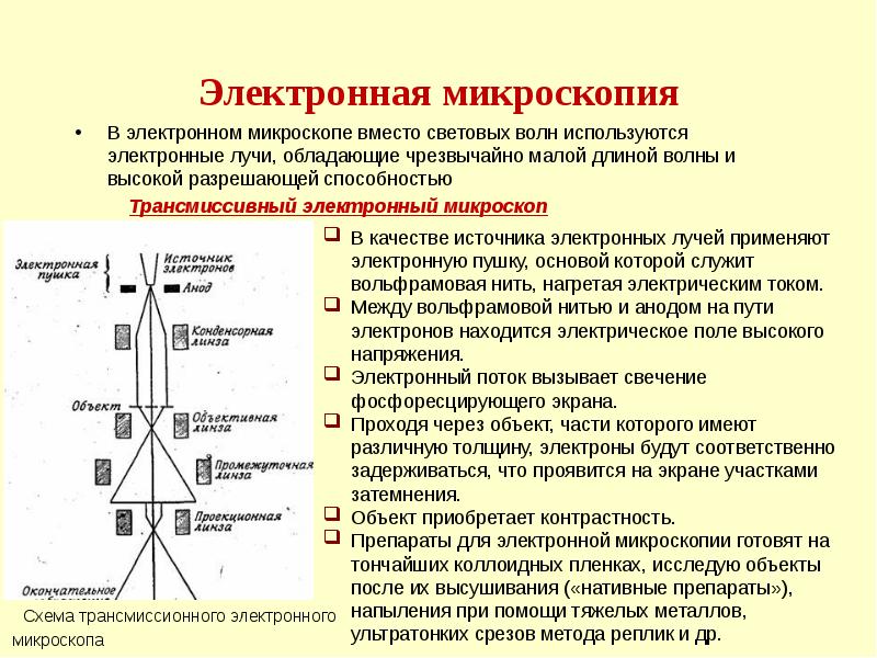 Электронная микроскопия разрешающая способность. Электронная микроскопия разрешающая способность