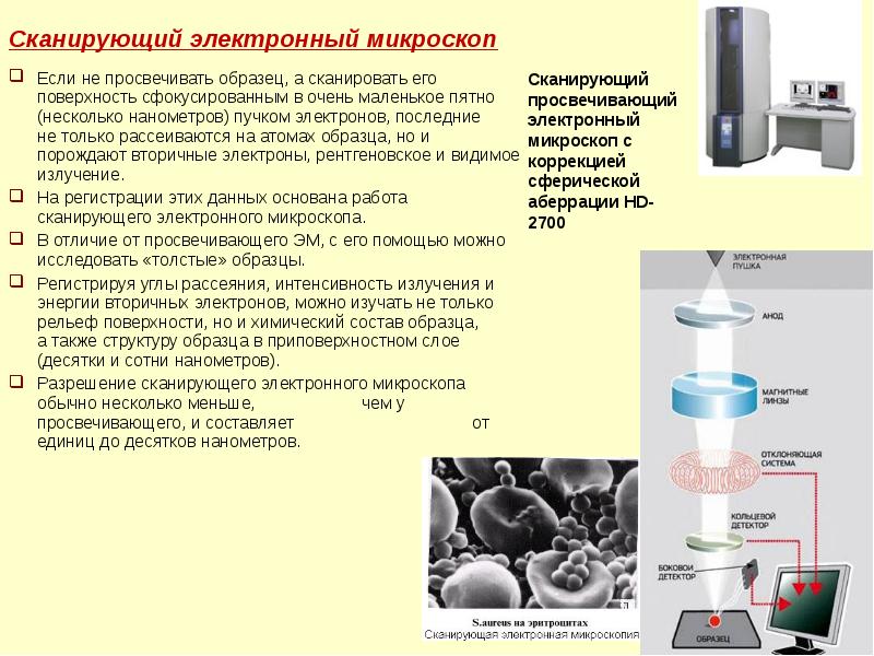 Электронная микроскопия принцип микроскопии