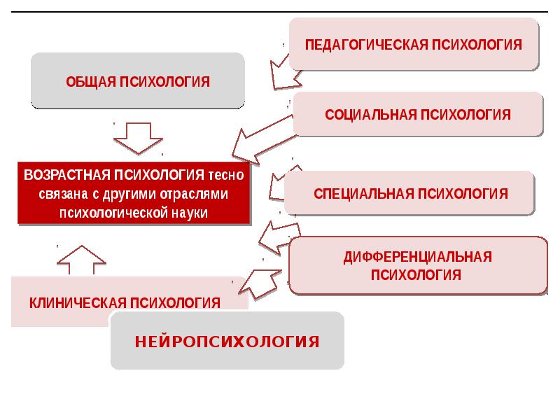 Методы возрастной. Основные понятия психологии развития. Основные понятия возрастной психологии. Возрастная и педагогическая психология, социальная психология. Возрастная клиническая психология это.