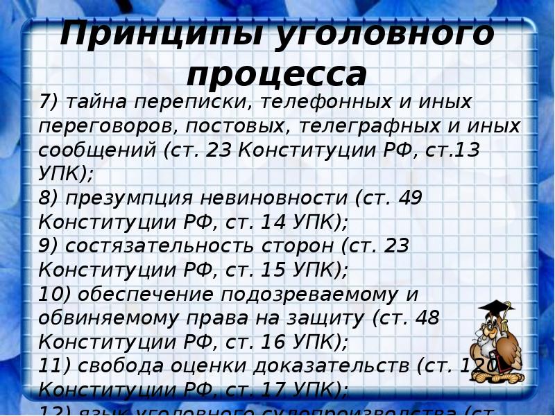 Особенности уголовного судопроизводства презентация