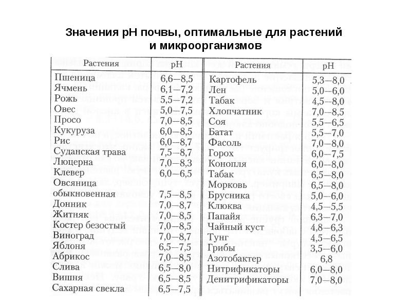 Реферат: Поглотительная способность и кислотность почвы