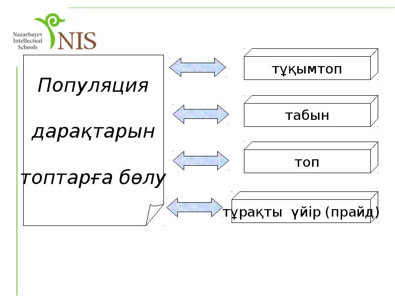 Популяция презентация қазақша