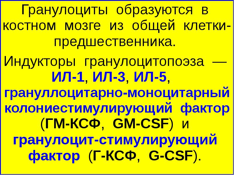 Гранулоциты это. Гранулоциты образуются в. Лейкоциты гранулоциты гранулоцитопоэз. Индукторы гранулоцитопоэза. Где образуются гранулоциты.