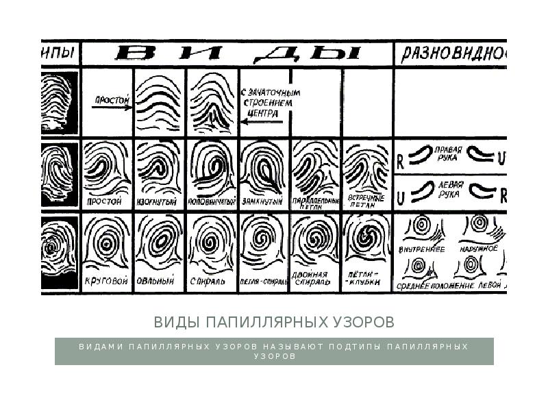 Дактилоскопия презентация криминалистика