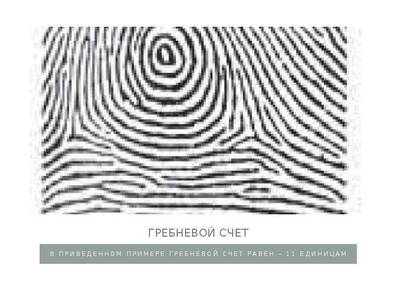 Гребневой счет В приведенном примере гребневой счет равен – 11 единицам