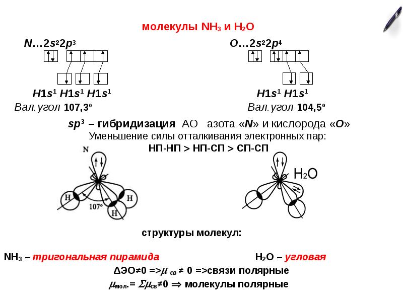 Молекула 4 виды. H20 Тип гибридизации. Sncl2 гибридизация. Форма молекулы и гибридизация h2s. Молекула h2s Тип гибридизации.