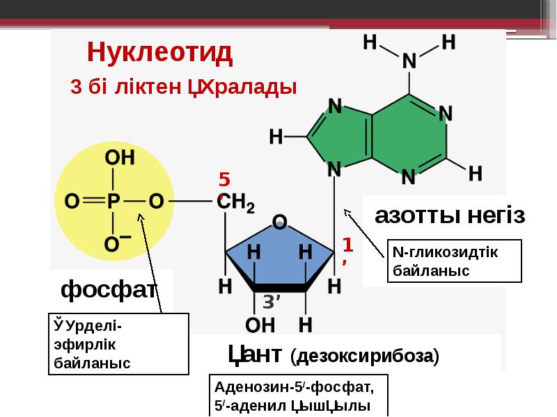 Гетероциклді қосылыстар презентация