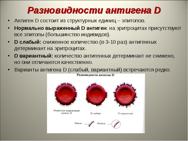 Антигены картинки для презентации