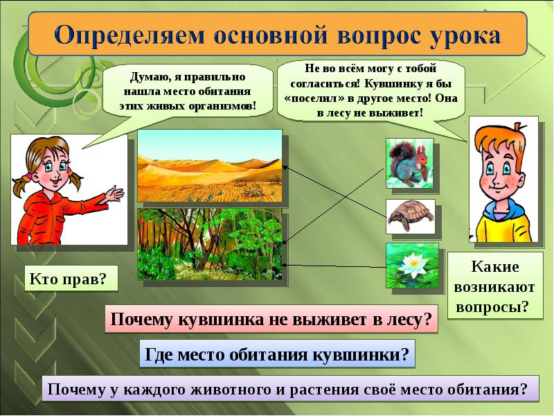 Презентация по окр миру 2 класс