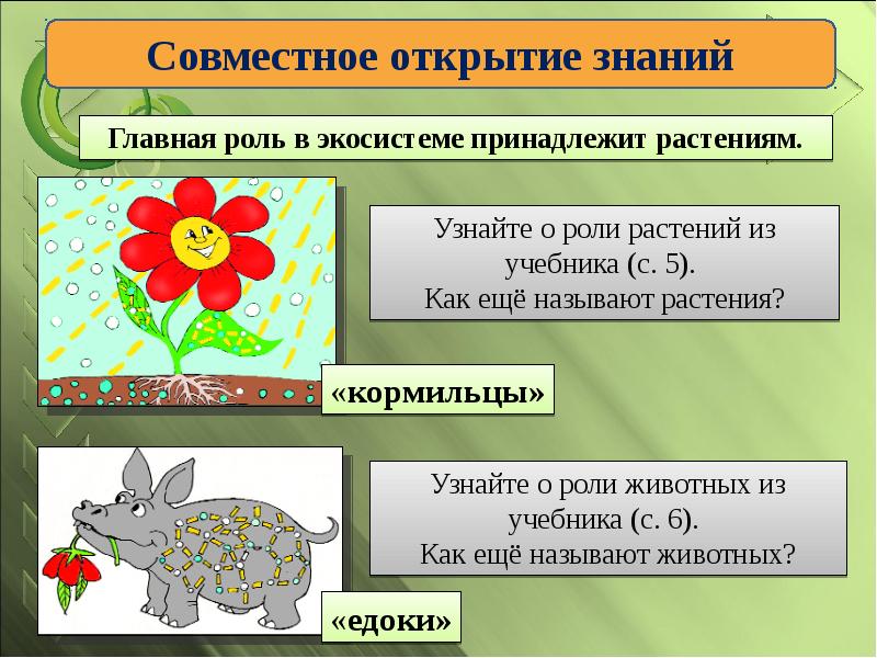 Экологические системы презентация