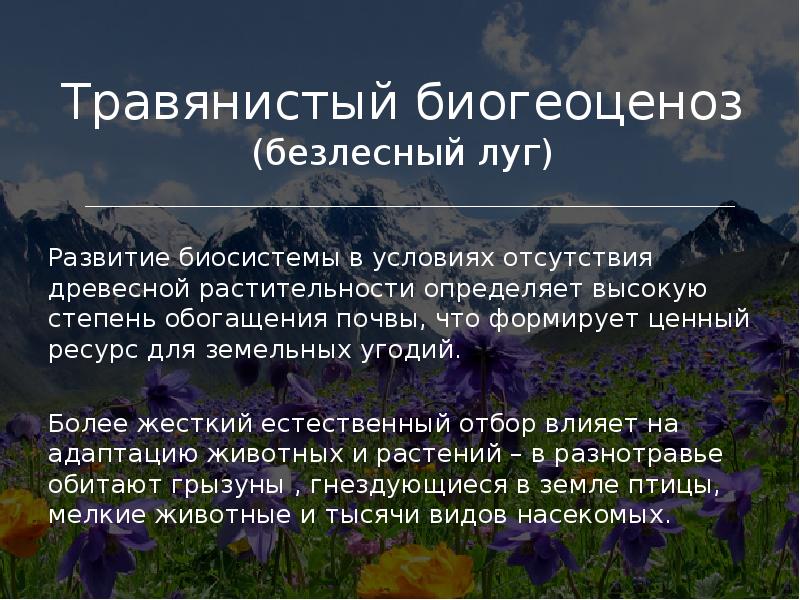 Презентация про биогеоценоз