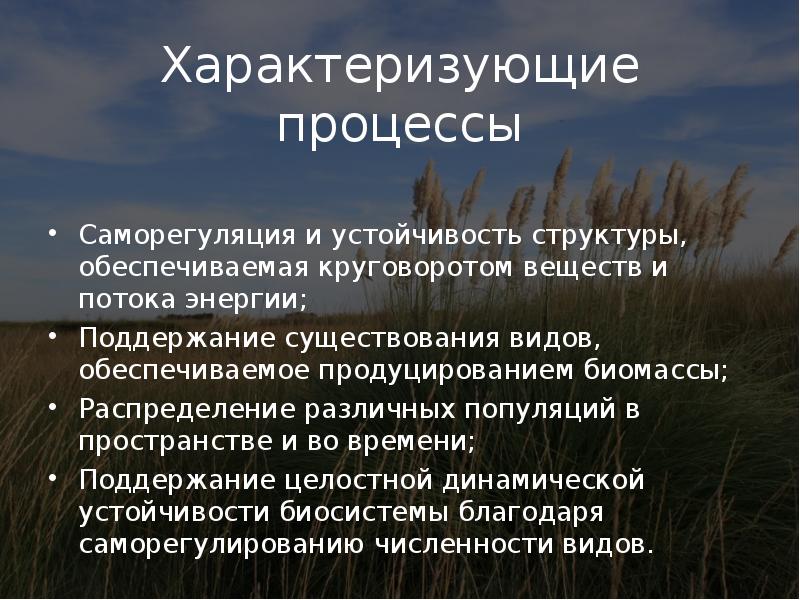 Повторяющиеся процессы характеризуются. Устойчивость структуры. Саморегуляция степи. Саморегуляция популяции. Продуцирование биомассы.