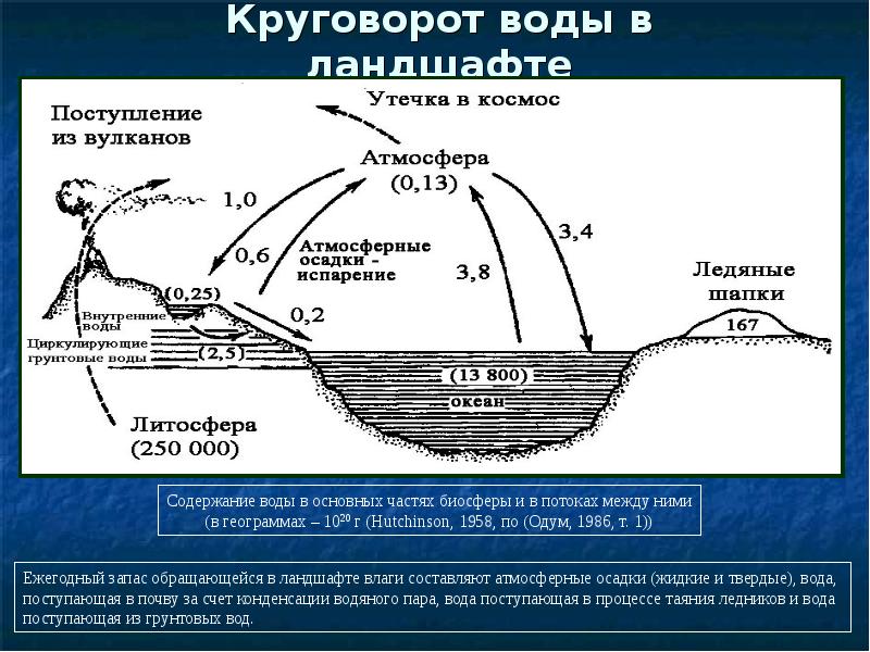 Составляющие водного объекта