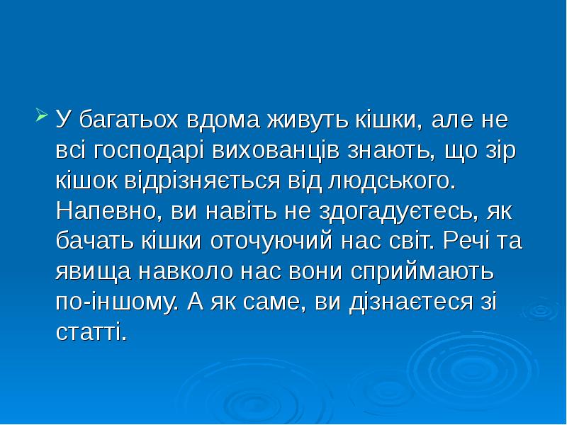 У багатьох вдома живуть кішки, але не всі господарі вихованців знають, У багатьох вдома живуть кішки, але не всі господарі вихованців знають,