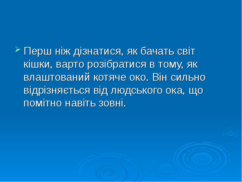 Перш ніж дізнатися, як бачать світ кішки, варто розібратися в тому, Перш ніж дізнатися, як бачать світ кішки, варто розібратися в тому,