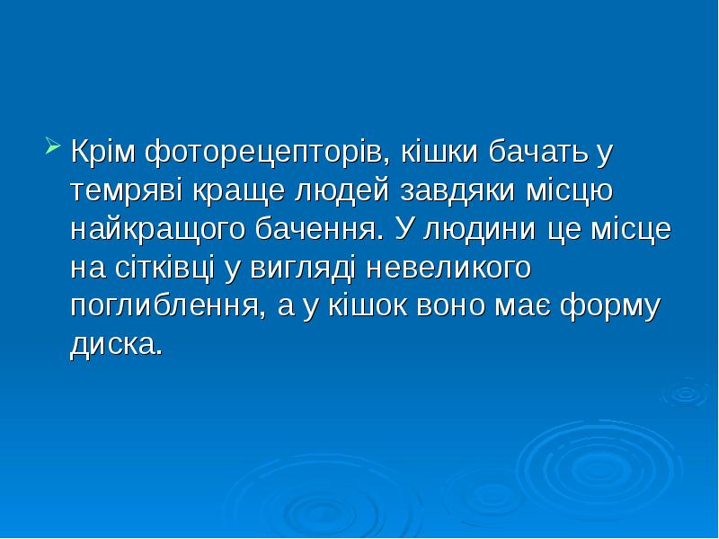Крім фоторецепторів, кішки бачать у темряві краще людей завдяки місцю найкращого Крім фоторецепторів, кішки бачать у темряві краще людей завдяки місцю найкращого