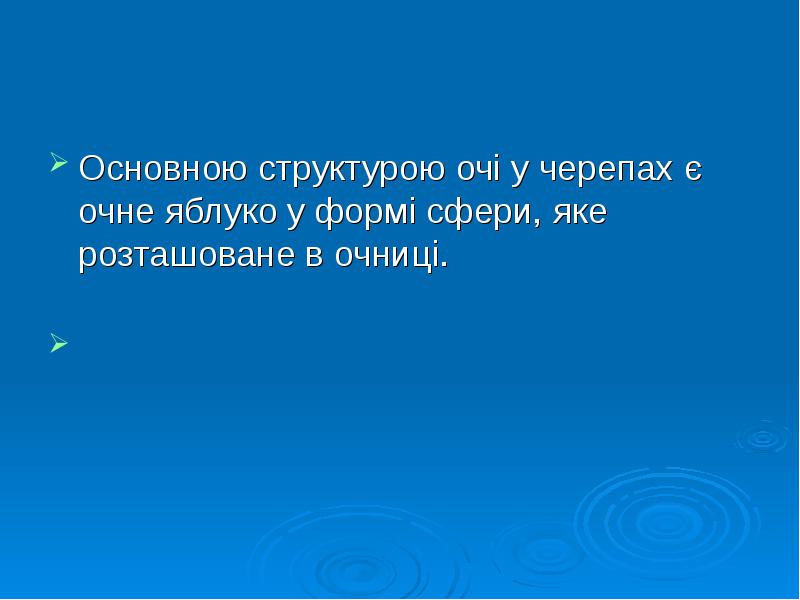 Основною структурою очі у черепах є очне яблуко у формі сфери, Основною структурою очі у черепах є очне яблуко у формі сфери,