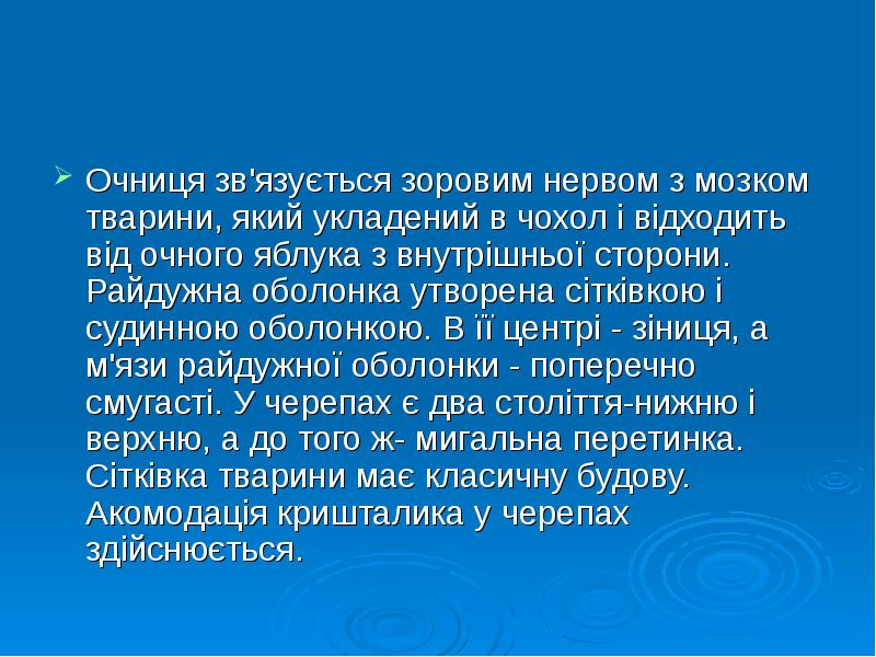 Очниця зв'язується зоровим нервом з мозком тварини, який укладений в чохол Очниця зв'язується зоровим нервом з мозком тварини, який укладений в чохол