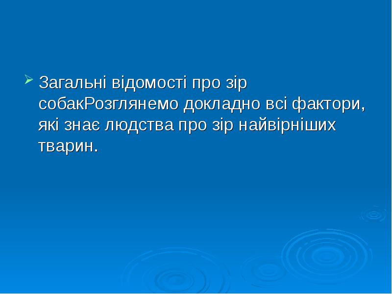 Загальні відомості про зір собакРозглянемо докладно всі фактори, які знає людства Загальні відомості про зір собакРозглянемо докладно всі фактори, які знає людства