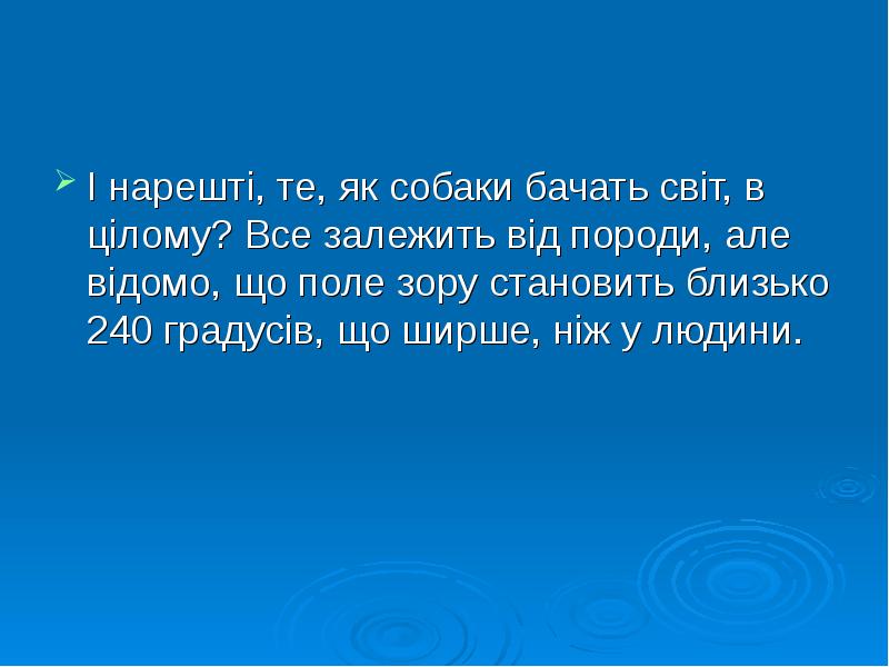 І нарешті, те, як собаки бачать світ, в цілому? Все залежить І нарешті, те, як собаки бачать світ, в цілому? Все залежить