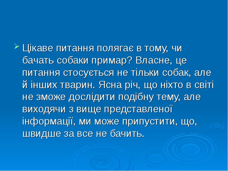 Цікаве питання полягає в тому, чи бачать собаки примар? Власне, це Цікаве питання полягає в тому, чи бачать собаки примар? Власне, це