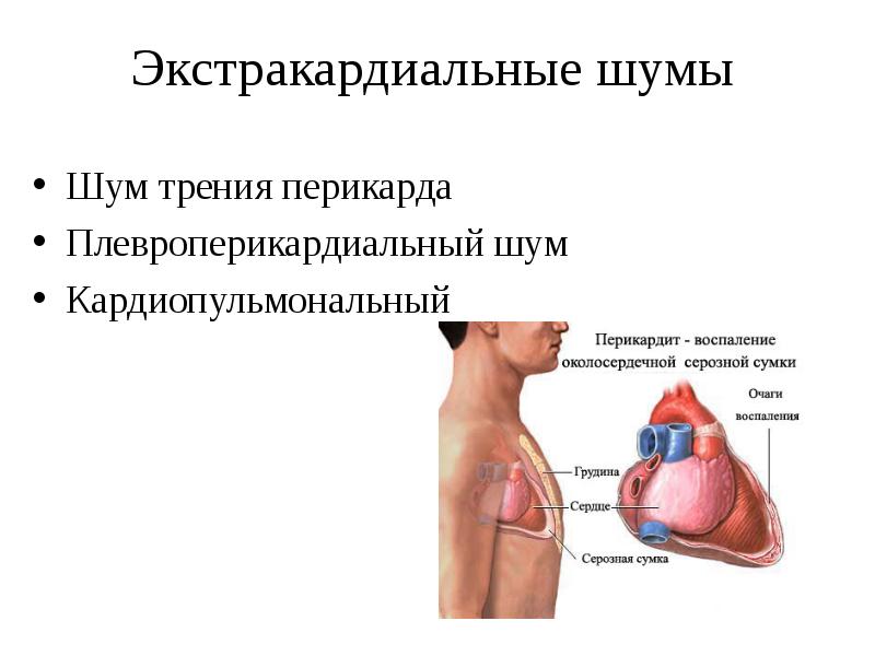 Экстракардиальная регуляция сердца