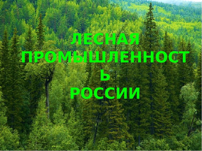 Презентация лесное хозяйство россии 8 класс география