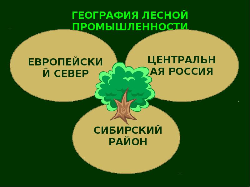 Лесная промышленность россии презентация