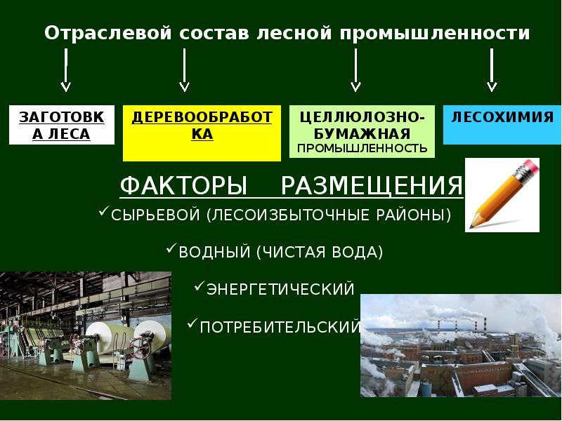 С какими отраслями тесно связана лесная промышленность. Отраслевой состав целлюлозно бумажной промышленности. Отраслевой состав Лесной промышленности. Сырьевой фактор лесопромышленный комплекс. Отраслевой состав Лесной промышленности России.