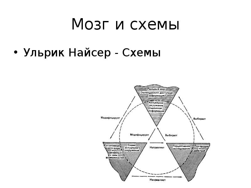 Когнитивная психология найссер. Схема Найссера. Когнитивная схема Найссера. У Найссер когнитивная психология. У.Найссер когнитивная психология схема.