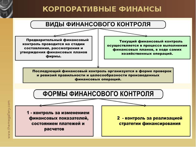 Организация предварительного финансового контроля