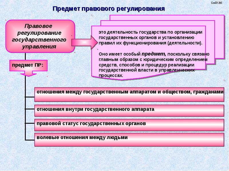 Публичное управление в сфере профессиональной деятельности презентация