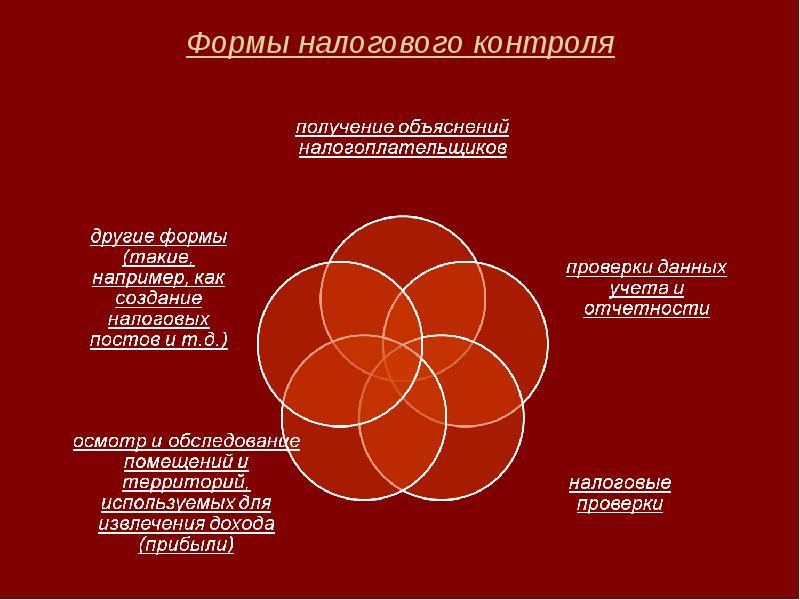 Виды налоговых проверок