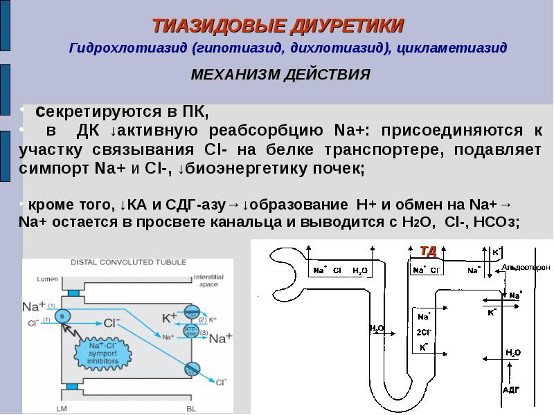 Гидрохлортиазид механизм действия