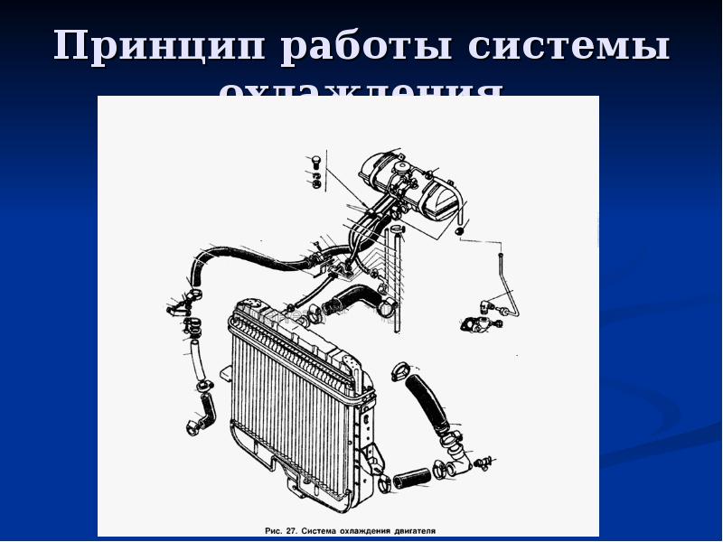 Система охлаждения назначение устройство принцип работы