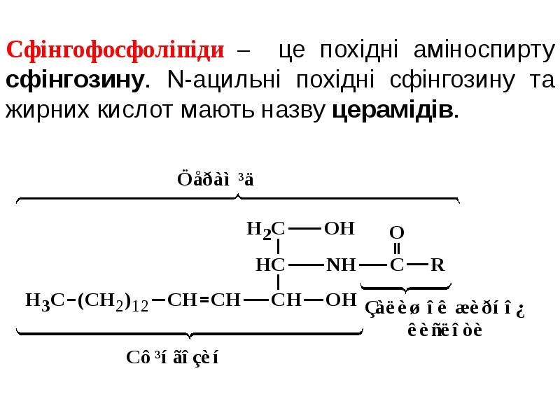 Окисление глицерола. Липолиз жирных кислот. Липолиз глицерина. Реакции липолиза биохимия. Формула липолиза.